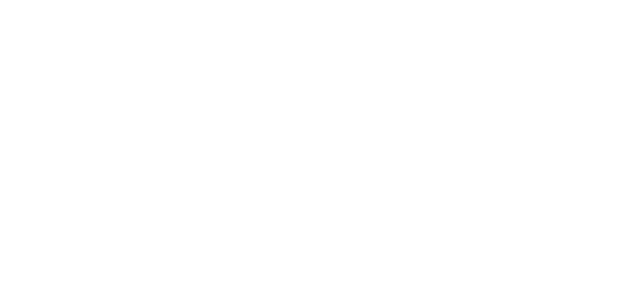 THE 13TH TRIBE™